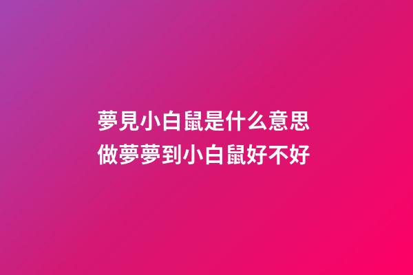 夢見小白鼠是什么意思 做夢夢到小白鼠好不好